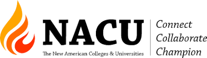 New American Colleges & Universities
